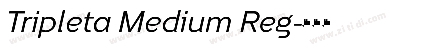 Tripleta Medium Reg字体转换 Tripleta Medium Reg字体转换